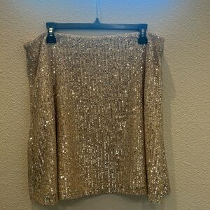 LOFT, Sequin Skirt
